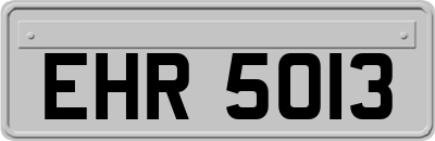 EHR5013