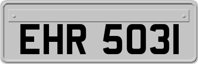 EHR5031