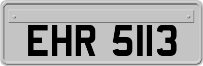 EHR5113