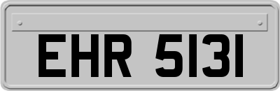 EHR5131