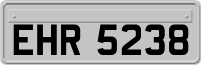EHR5238