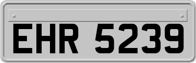 EHR5239