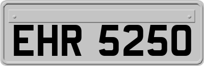 EHR5250