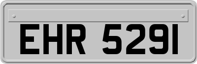 EHR5291