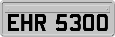 EHR5300