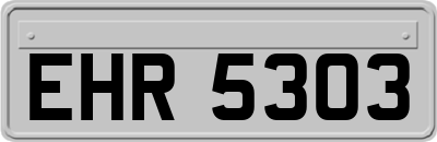 EHR5303
