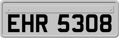 EHR5308
