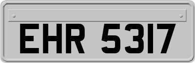 EHR5317