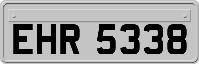 EHR5338