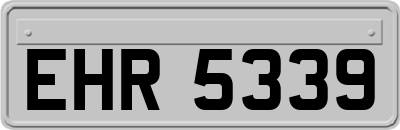 EHR5339
