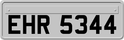 EHR5344