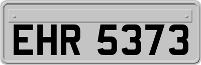 EHR5373