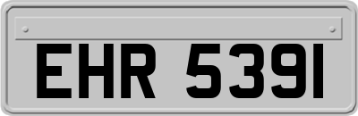 EHR5391
