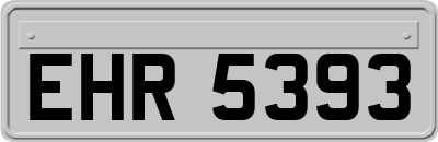 EHR5393
