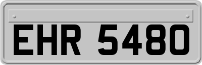 EHR5480