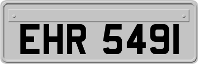 EHR5491