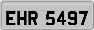 EHR5497