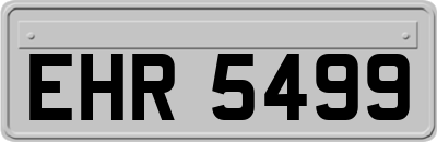 EHR5499