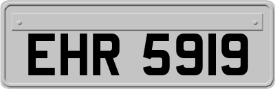 EHR5919