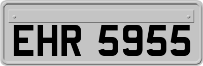 EHR5955