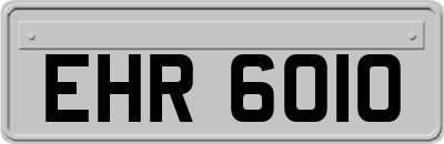 EHR6010