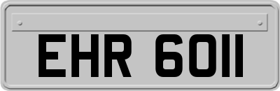 EHR6011