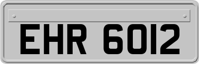 EHR6012