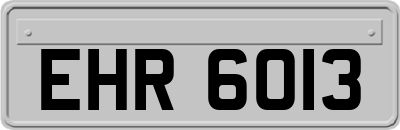 EHR6013