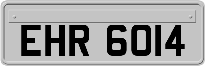 EHR6014