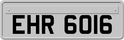 EHR6016