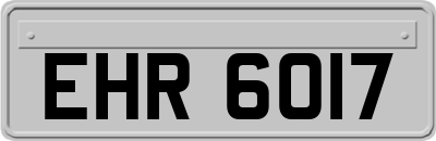 EHR6017