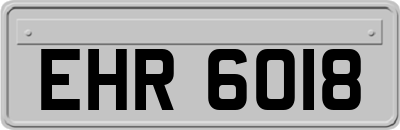 EHR6018