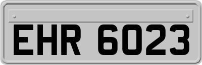 EHR6023