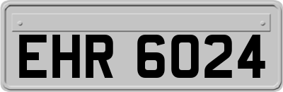 EHR6024