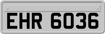 EHR6036