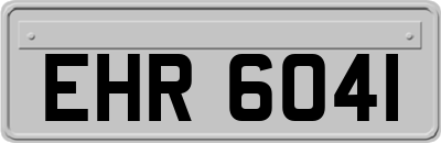 EHR6041