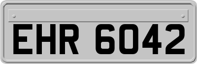 EHR6042