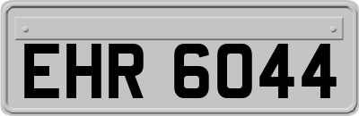 EHR6044
