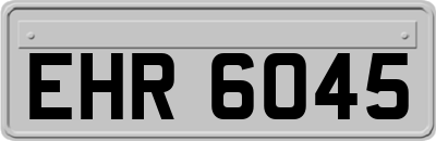 EHR6045