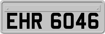 EHR6046