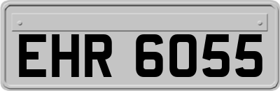 EHR6055