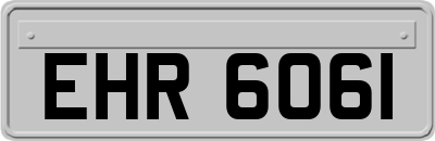 EHR6061