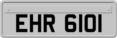 EHR6101