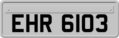 EHR6103
