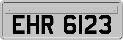 EHR6123