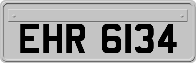 EHR6134
