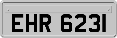 EHR6231