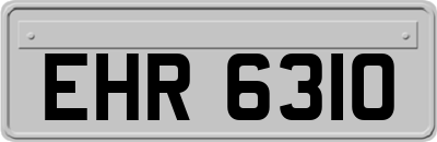 EHR6310