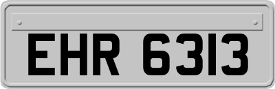 EHR6313