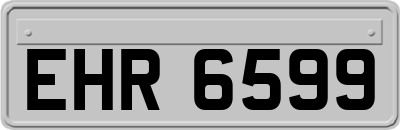EHR6599